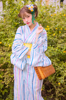 女性生殖实图